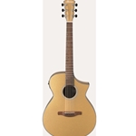 Ibanez AEWC10DGM Acoustic Electric Guitar