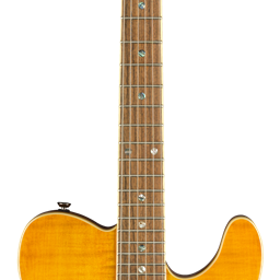 Fender Special Edition Custom Telecaster Electric Guitar