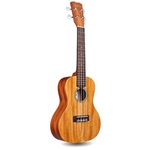 Cordoba 20CM Concert Ukulele