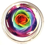 Magic Rosin TDR-3GM Tie Dye Rose (Flower Power) - 3G Formula Rosin