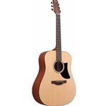 Ibanez AAD50LG Advanced Acoustic Guitar