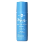 Hagerty Silversmith's Spray Polish 8oz can