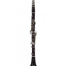 Buffet R13 Professional Bb Clarinet