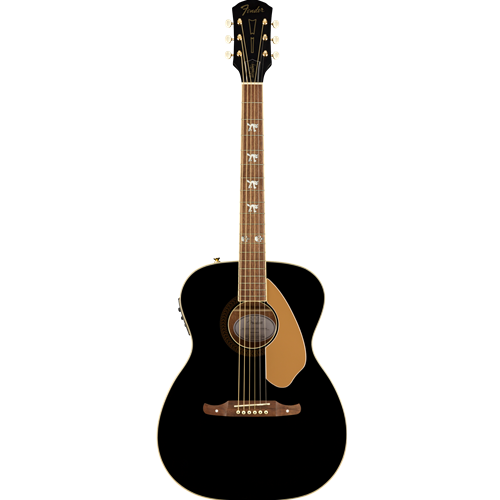 Fender hellcat guitar case discount