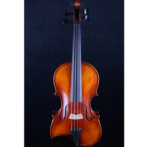 Gunther Loewe Viennese 4/4 Violin Outfit - LOEWE