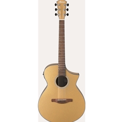 Ibanez AEWC10DGM Acoustic Electric Guitar