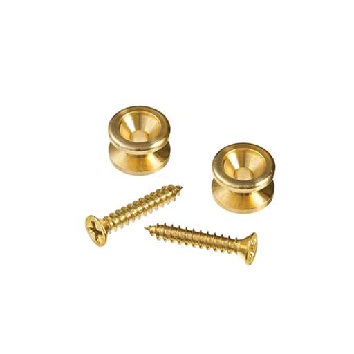Daddario PWEP202 Brass End Pins