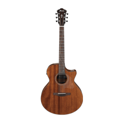 Ibanez AE295LGS Acoustic Electric Guitar