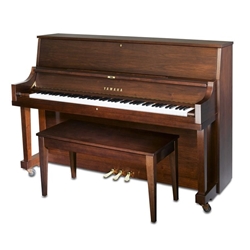 Yamaha P22DSW Professional Collection 45" Acoustic Upright Piano with Bench, Satin Walnut