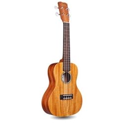 Cordoba 20CM Concert Ukulele