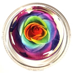 Magic Rosin TDR-3GM Tie Dye Rose (Flower Power) - 3G Formula Rosin