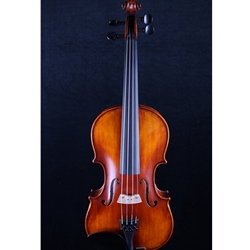 Gunther Loewe Viennese 4/4 Violin Outfit