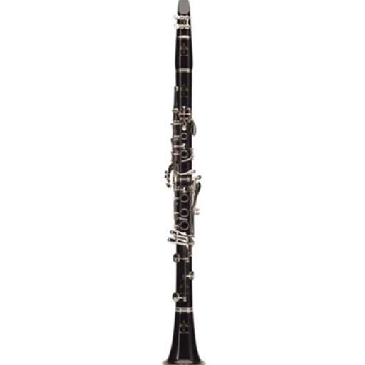 Buffet R13 Professional Bb Clarinet